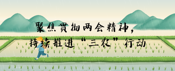 聚焦貫徹兩會(huì)精神，持續(xù)推進(jìn)“三農(nóng)”行動(dòng)
