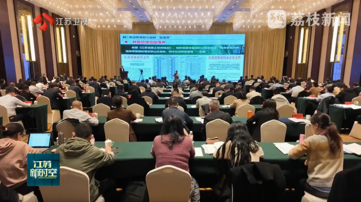蒼穹數(shù)碼賦能顯成效，江蘇率先全面推進用地用林合并審批獲全國推廣